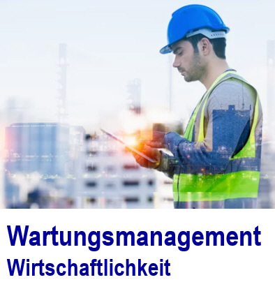 Die Controlling-Aufgabe im Wartungsmanagement mit der Software Wartung